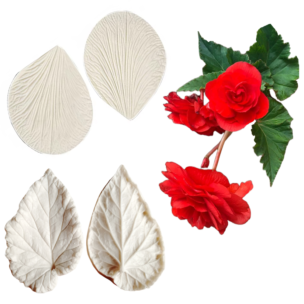 แม่พิมพ์ซิลิโคนลายใบเบกอนีอา ส - Eco Art Craft บทวิจารณ์และราคา