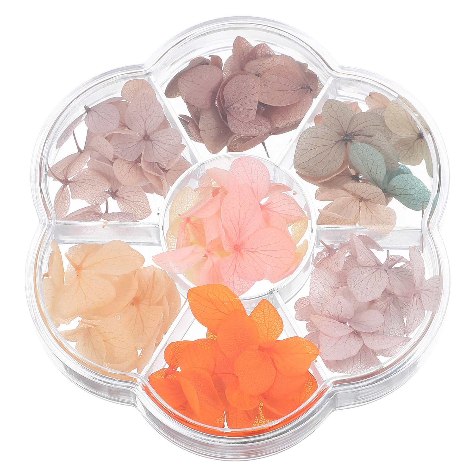 ใบเมเปิลแห้ง 50 ชิ้น สำหรับตกแ - Art And Craft Autumn บทวิจารณ์และราคา