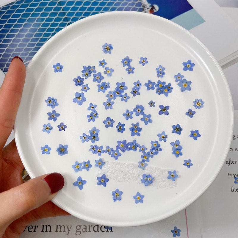 100 PCS/0.5-1 ซม.,Pressed MINI - Art Craft 2 Year Olds บทวิจารณ์และราคา